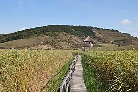 Imagine din rezervație