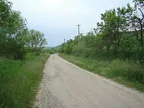 Drumul spre satul Tăușeni