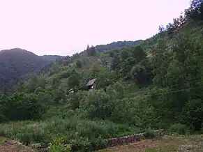 Valea Ierii, județul Cluj