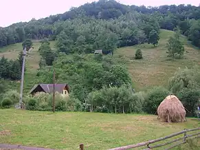 Valea Ierii, județul Cluj