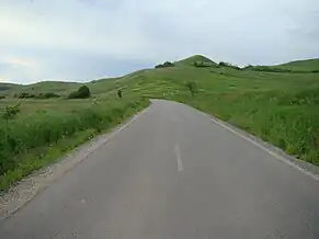 Drumul spre satul Vișea