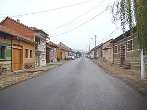 Strada principală (1)
