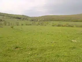 Imagine din rezervație