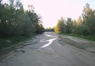 Albia râului Amaradia