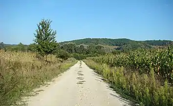 Drumul spre mănăstire