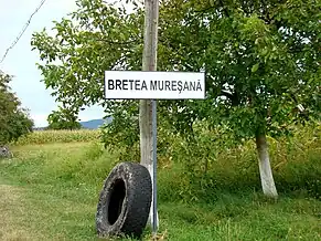 Intrarea în localitate