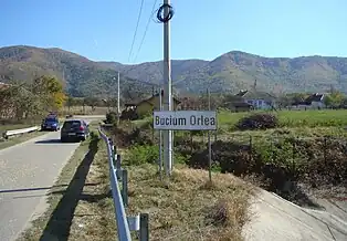 Intrarea în localitate