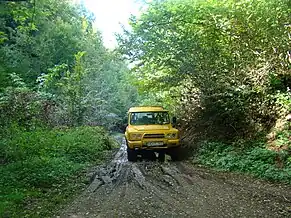 Drumul spre satul Bunești