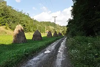 Drumul forestier spre Dumbrava de Sus