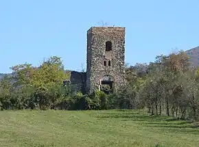 Ruinele bisericii „Sfântul Mare Mucenic Dimitrie” (1869)