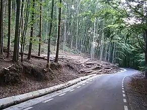 Drumul Corund-Fântâna Brazilor