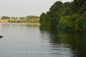 Situl la Pantelimon (lacul și pădurea)