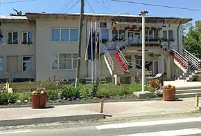 Primăria comunei Strunga