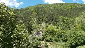 Imagine din rezervație