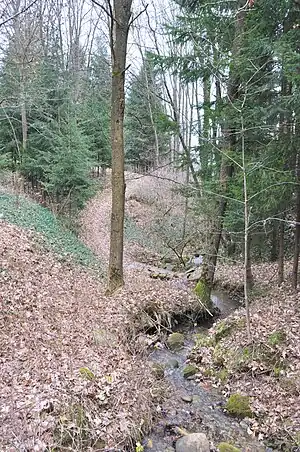 Împrejurimile bisericii: Valea Iughii