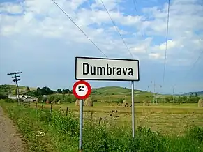 Intrarea în localitate