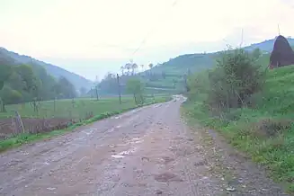 Drumul spre satul Larga