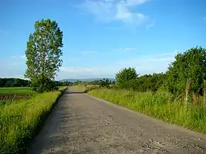 Drumul Călugăreni-Grâușorul