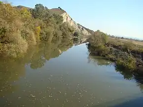 Râul Mureș la Lechința