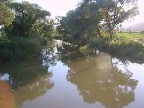 Râul Târnava Mică la Viforoasa