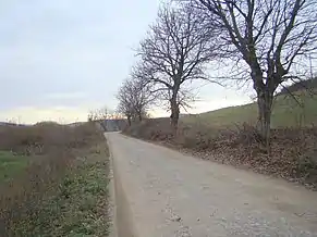 Drumul comunal spre Vaideiu