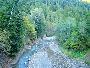 Râul Tarcău la Schitu Tarcău