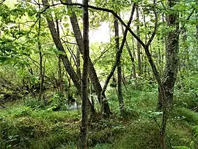 Imagine din rezervație