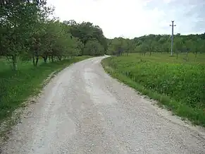 Drumul Purcăreț-Toplița