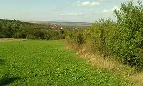 Satul văzut de la Băicănești