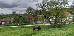 Imagine din satul Uileacu Șimleului