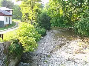 Împrejurimi: râul Otăsău