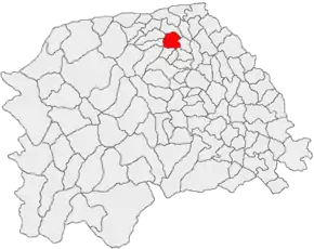 Poziția localității Rădăuți