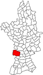 Amplasarea în cadrul județului