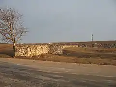 Ruinele palatului pârcalabului de Orhei