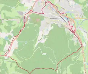 Poziția localității Remiremont