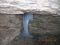 Delfin în Peştera de Gheaţă