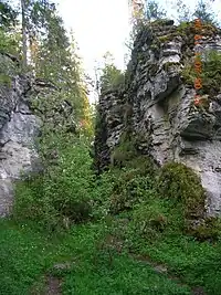 Intrarea în Grota Urşilor vara