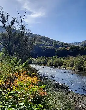 Imagine din rezervație