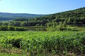 Peisaj natural în rezervație