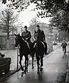 Poliţia călare - Malmö, Suedia 1985.