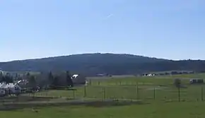 Rösterkopf la Reinsfeld