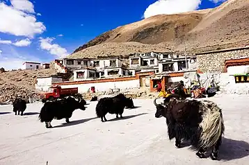 Rongbuk Monastery