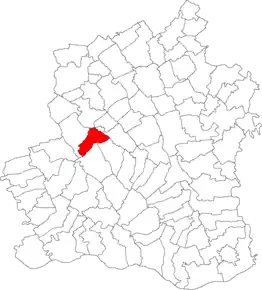 Poziția localității Roșiorii de Vede