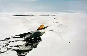 Banchiza Ross în apropierea Coastei de Est