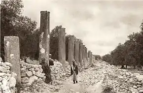 Strada cu colonadă din Samaria elenistică, fotografie din anii 1920