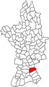 Amplasarea în cadrul județului