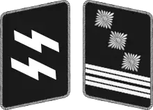 SS-HauptmannführerGermania, SS