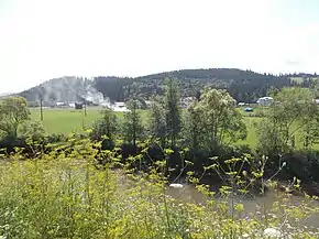 Situl la Podu Coșnei