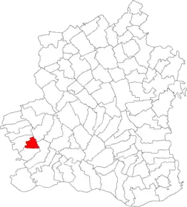 Amplasarea în cadrul județului Comuna Saelele se află la o distanță de 20 km de orașul Turnu Măgurele si la 65 km de municipiul Alexandria, reședință de județ.