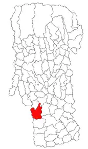 Amplasarea în cadrul județului